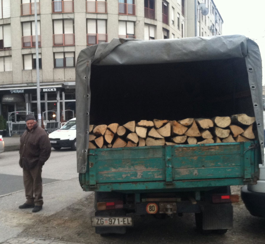 Global Warming Victim